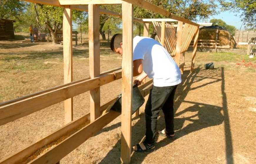 Школяр з Вінниччини розводить овець, зароблені гроші віддає на автівки для ЗСУ