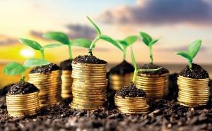 Валовий обсяг сільгосппродукції цього року буде меншим на 2,6%