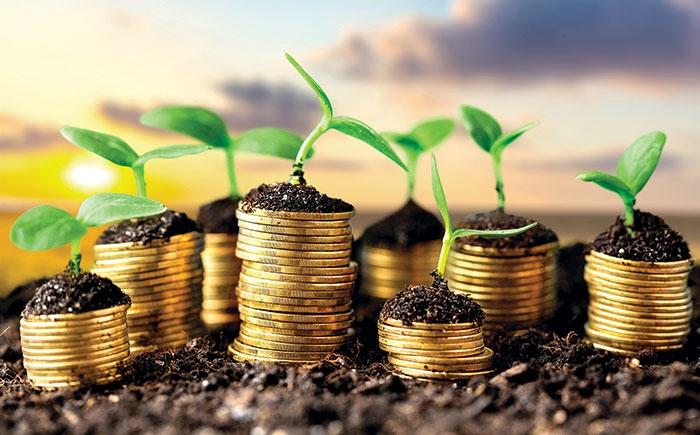 Валовий обсяг сільгосппродукції цього року буде меншим на 2,6%