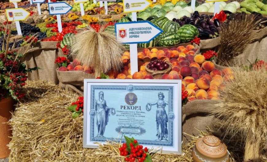 Рекорд України: у Кропивницькому створили мапу з овочів і фруктів