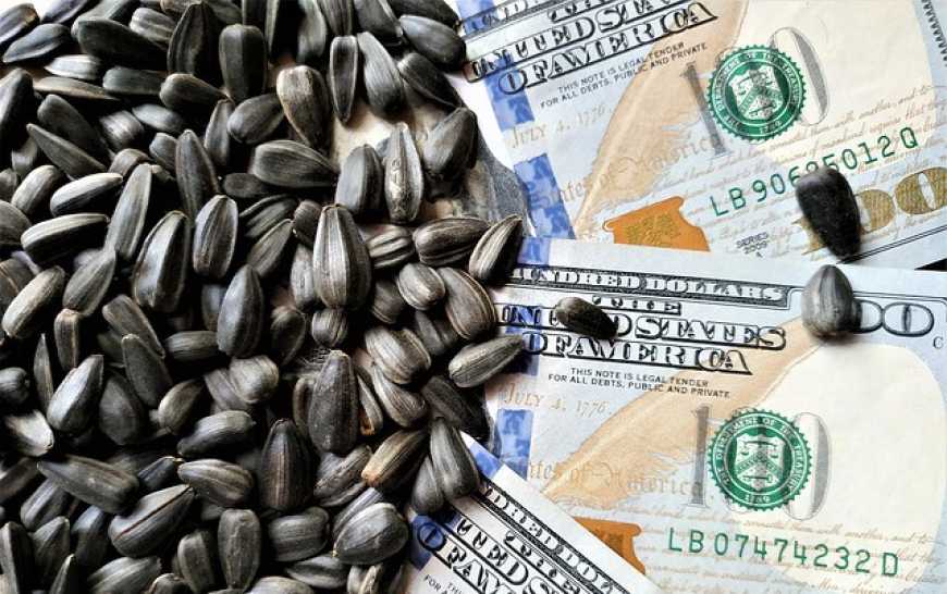 Ринок соняшнику: аналітики прогнозують зростання цін в Україні до 30 000 грн/т