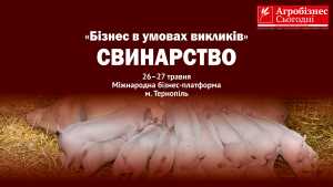 У травні відбудеться Міжнародна бізнес-платформа &laquo;Бізнес в умовах викликів&raquo;. Свинарство