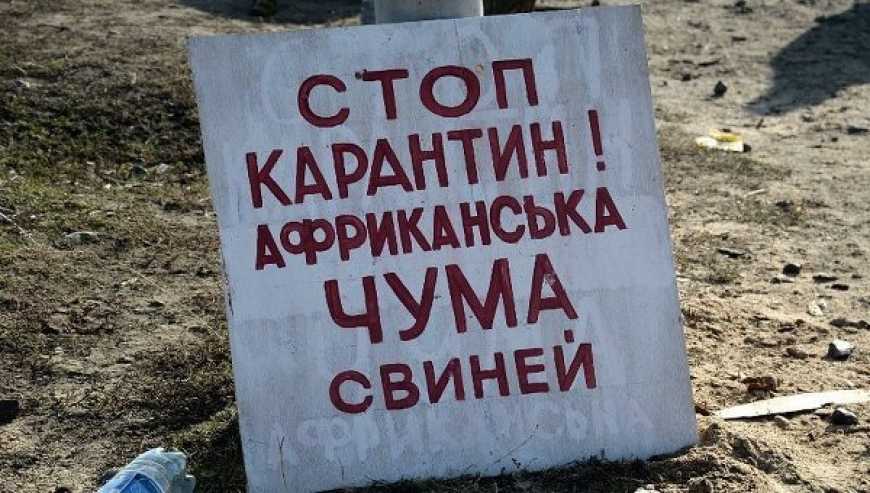 АЧС є – програми боротьби з вірусом немає