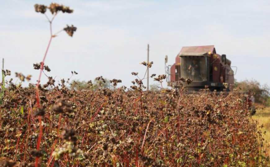 Жнива-2022: в Україні зібрали 26 млн тонн нового врожаю