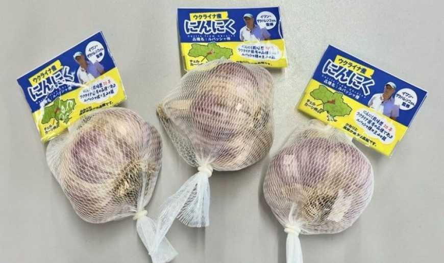 Часник Любаша з України експортують до Японії