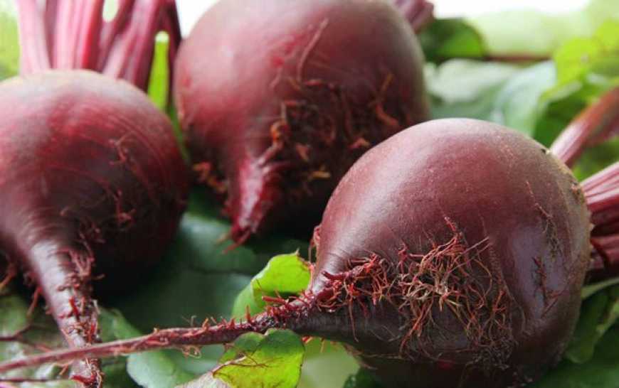 Цього тижня ціни на буряк в Україні зросли в середньому на 12%