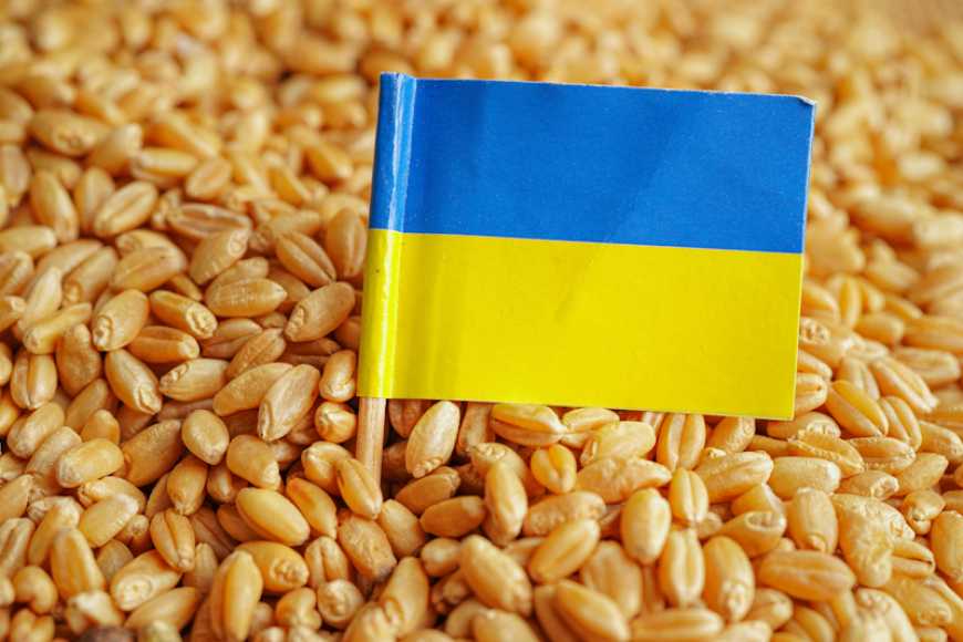 Grain from Ukraine: до Ефіопії доправлено 25 тис. тонн української пшениці