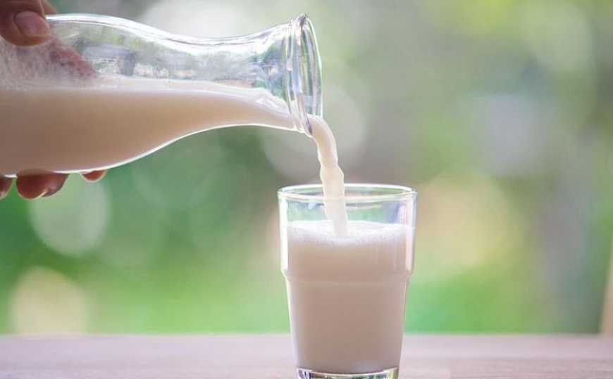Молоко А2 рекомендується без застережень