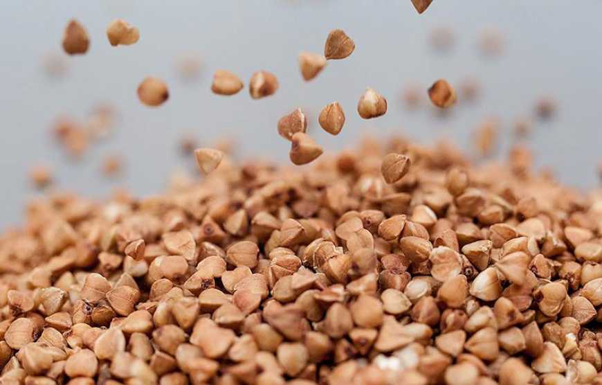 Закупівельні ціни на гречку в Україні зросли майже вдвічі