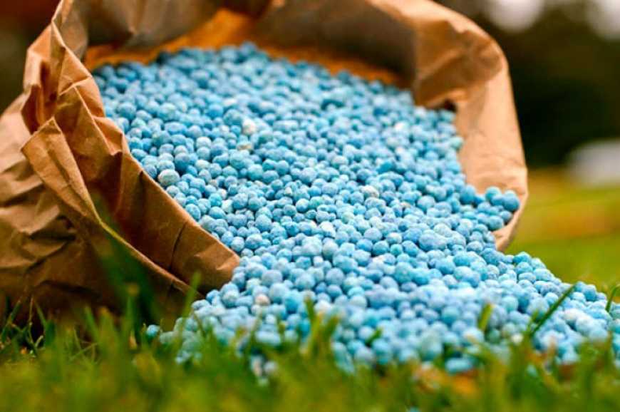 Аграрії закупили понад 240 тисяч тонн добрив для посіву озимих