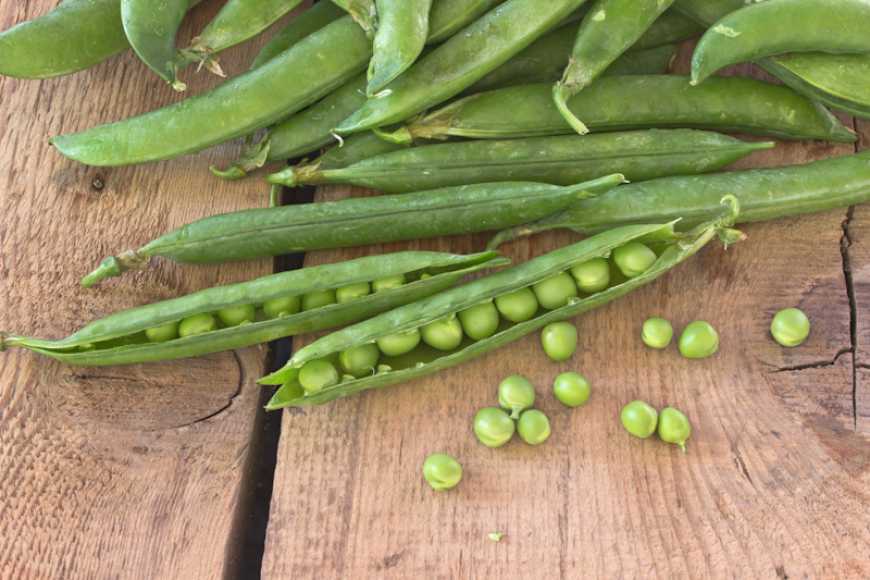 Ринок гороху: в цьому сезоні Україна втрачає основні експортні ринки