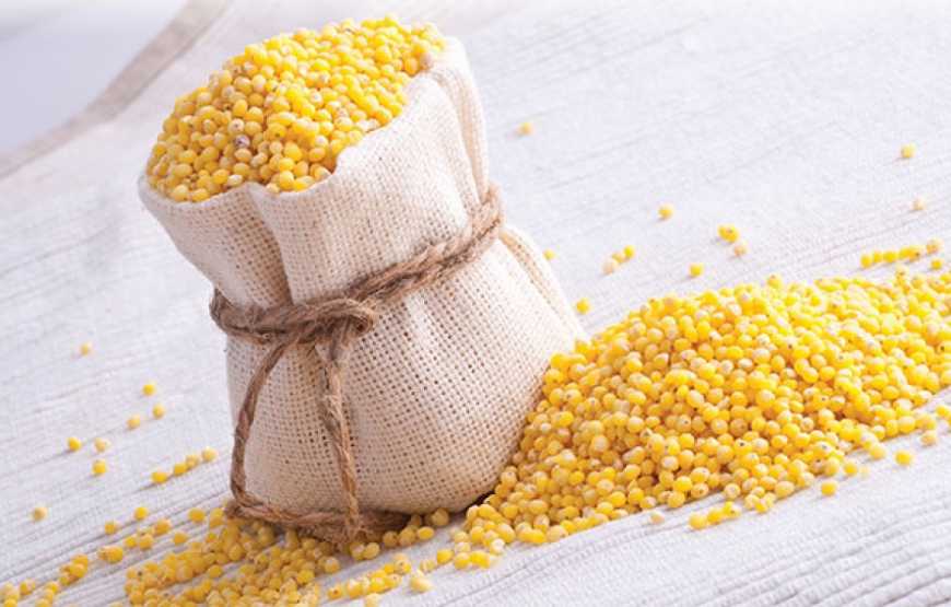 Україна посідає перше місце з експорту органічного пшона до ЄС