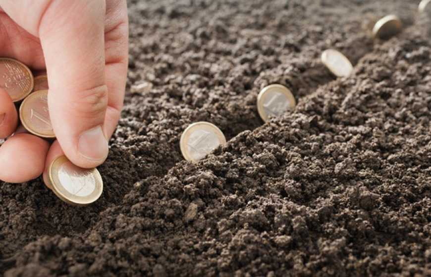 Витрати аграріїв на посівну зросли приблизно на 40 доларів на га &ndash;  Мінекономіки