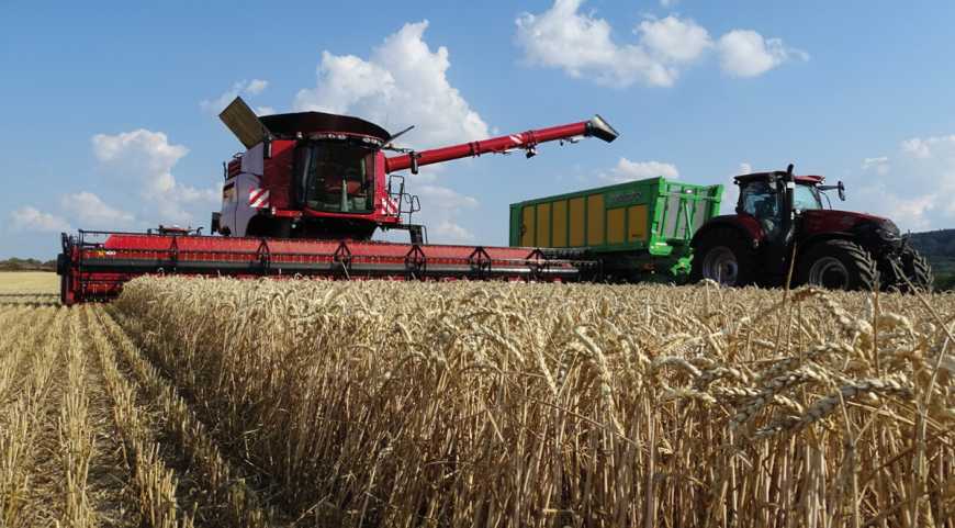 Жнива-2022: українські аграрії завершили збір пшениці, гороху та ячменю