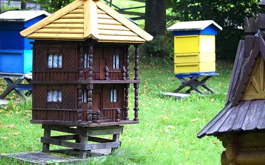 В Україні близько 60% меду виробляється на любительських пасіках