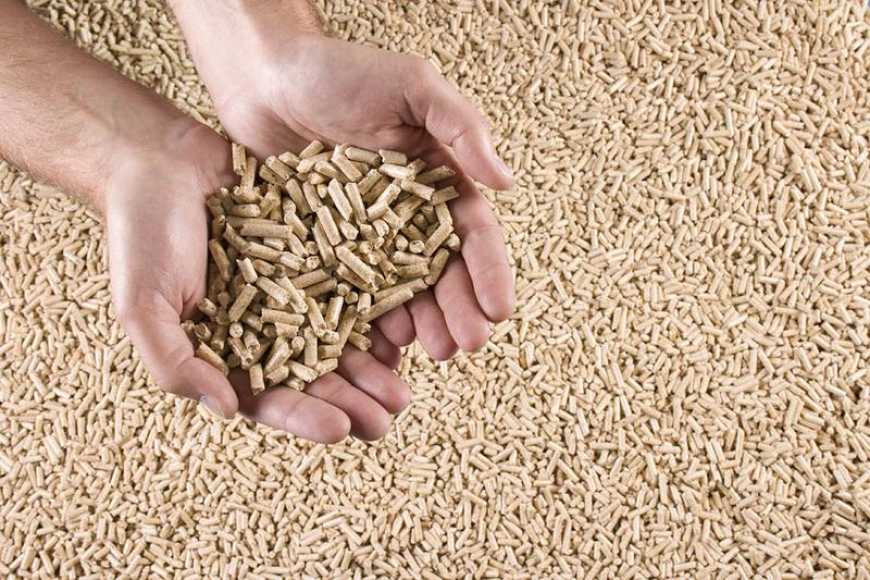 Паливні гранули з соломи, лушпиння та деревини: як працює альтернативна енергетика в Україні
