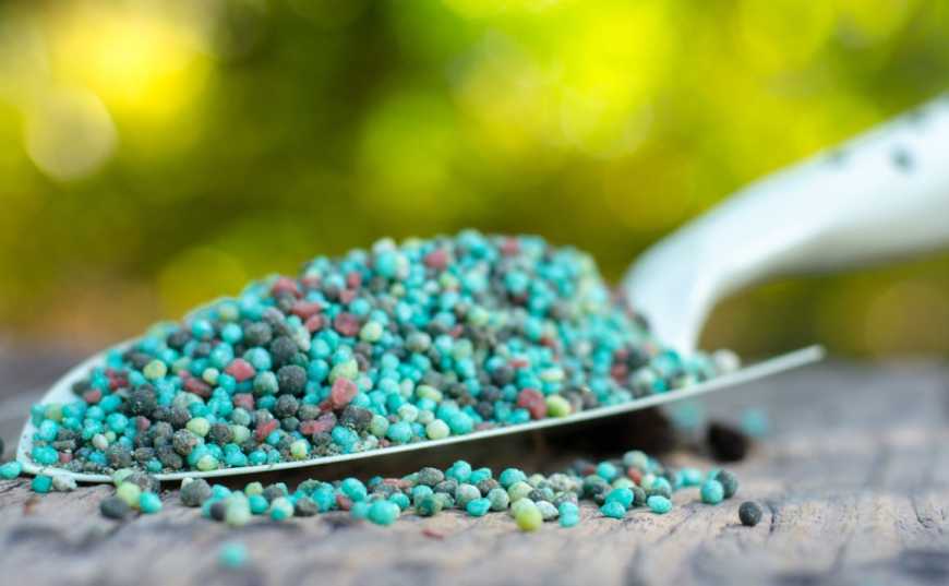 Ринок добрив: вдруге за місяць OSTCHEM підвищив ціни