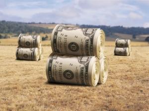 Мінімальне податкове навантаження на 1 га землі становить 2 тис. грн