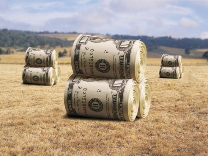 Мінімальне податкове навантаження на 1 га землі становить 2 тис. грн