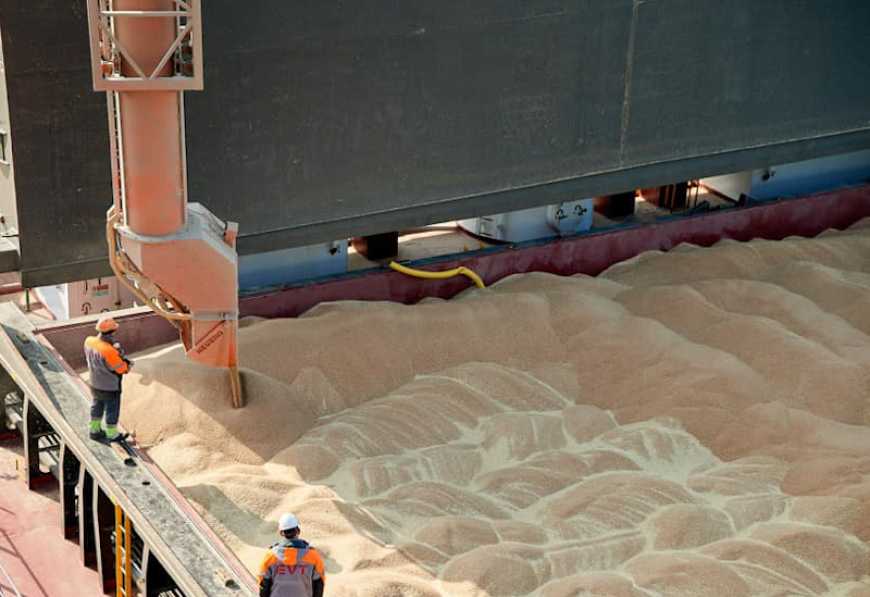 Морські порти України відновлюють перевалку зерна