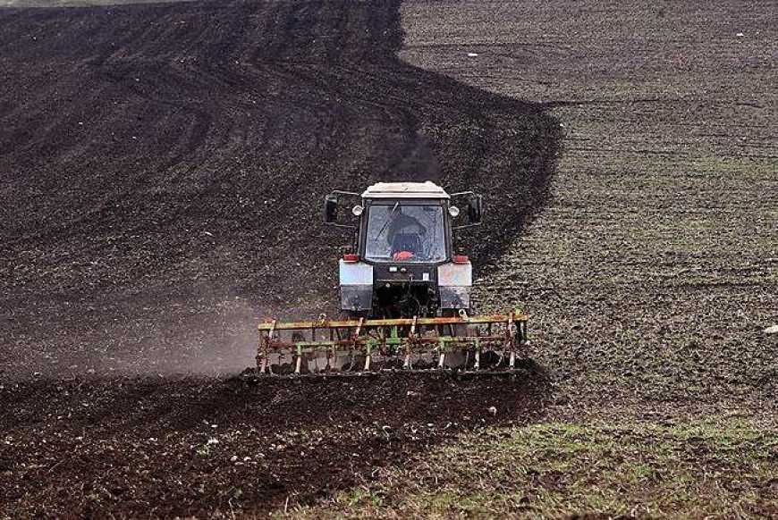 Посівна-2019: сівба ранніх ярих зернових проведена на площі 580 тис. га
