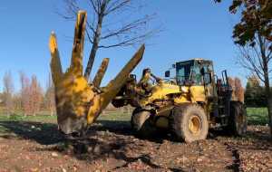 Механізована лопата: першокласний інструмент для пересаджування дерев