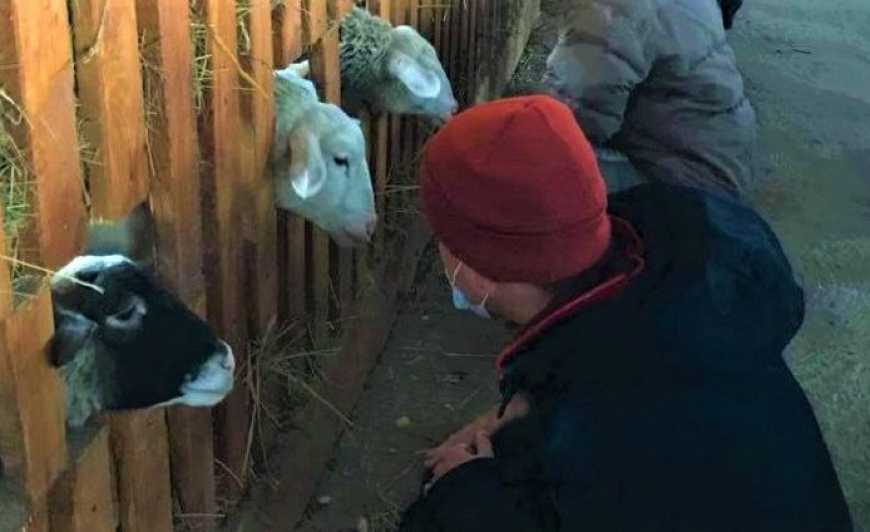 У Львівській області людей з інвалідністю навчатимуть сироварінню та садівництву