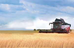 Комбайни VERSATILE — виняткова чистота зерна. Практичний досвід господарства