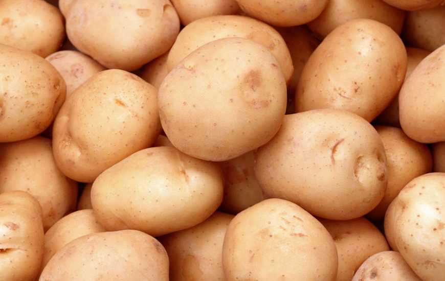 Україна більш ніж у 5 разів збільшила імпорт картоплі