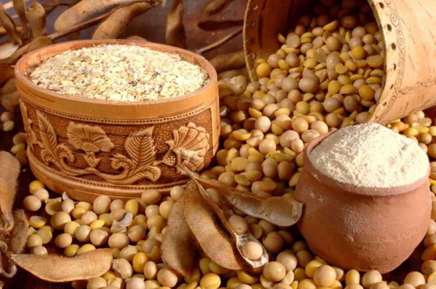 Цьогоріч сої сіятимуть вдвічі менше - опитування