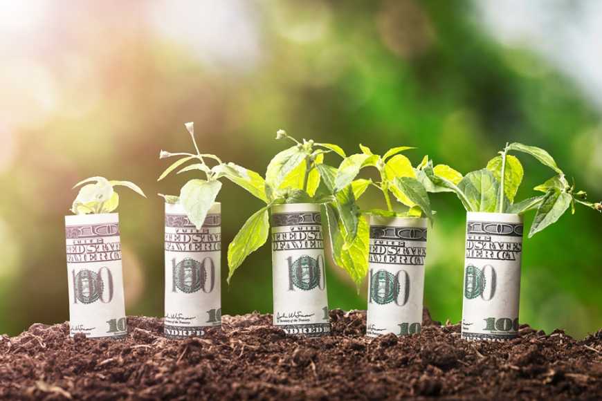 Електронні аграрні розписки: депутатів закликають якнайшвидше прийняти законопроєкт