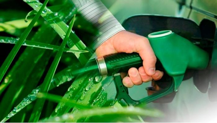 У Парламенті зареєстровано законопроект щодо стимулювання виробництва біопалива