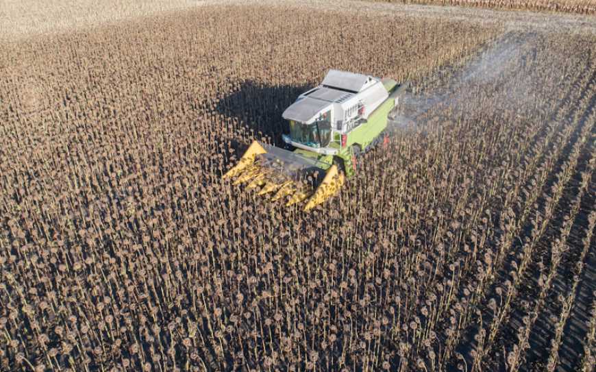 Жнива-2024: аграрії України вже намолотили майже 69 млн тонн зерна