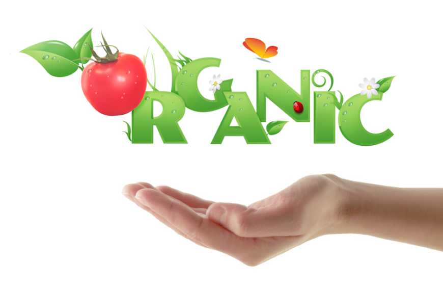 Україна нарощує обсяги експорту органічної продукції