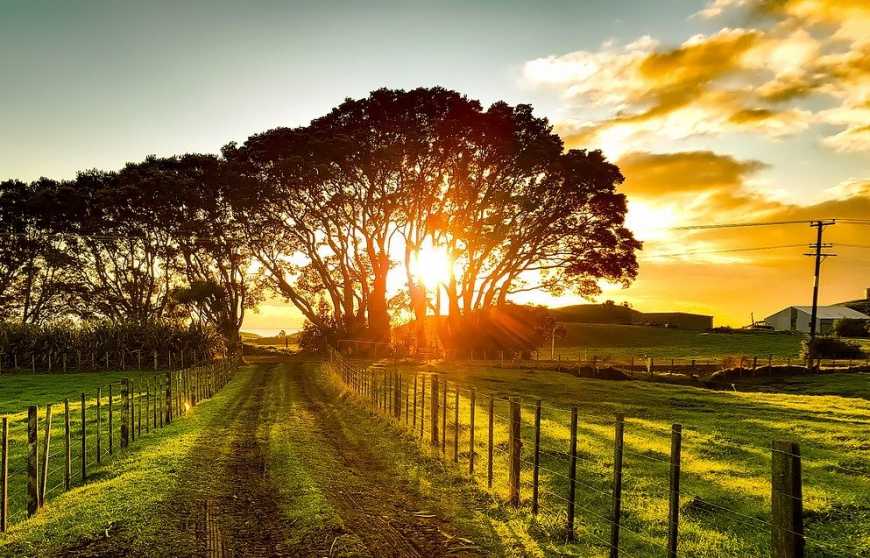 Оприлюднено концепцію Фонду розвитку сільських територій