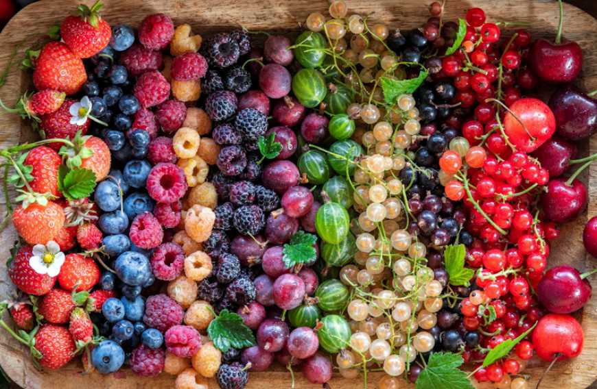 Ринок ягід: Україна збільшує експорт до Франції та Німеччини