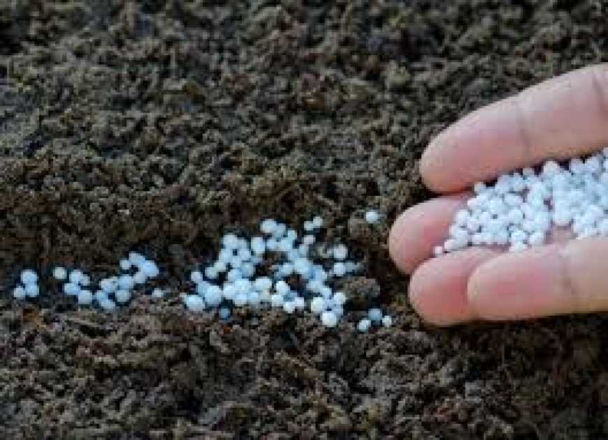 Стало відомо, як змінились ціни на добрива