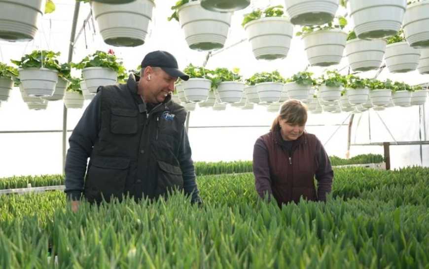 Машина дров на п&rsquo;ять днів: цьогорічна зима стала справжнім викликом для родини тепличників з Черкащини