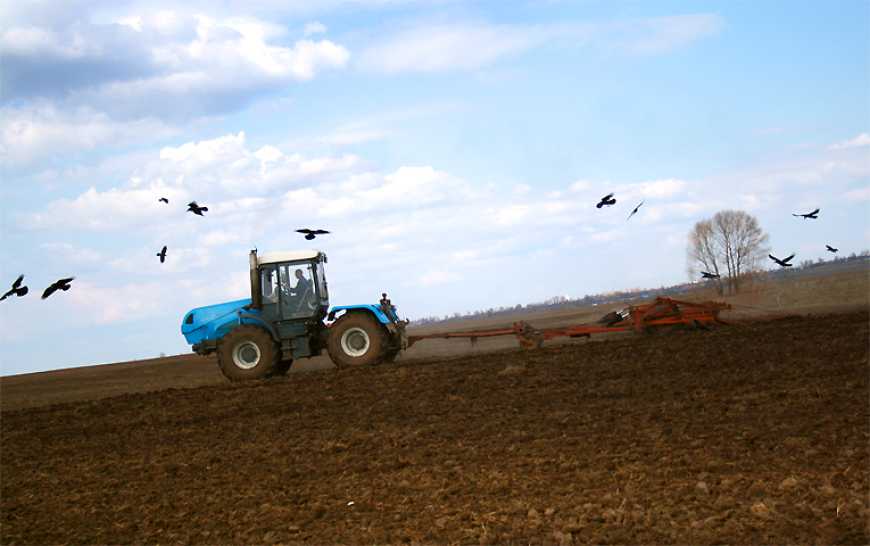 Посівна-2026: польові роботи в Україні розпочнуться пізніше, ніж у попередні роки