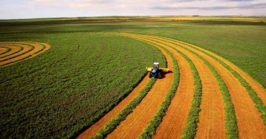 Українську землю продаватимуть через інтернет