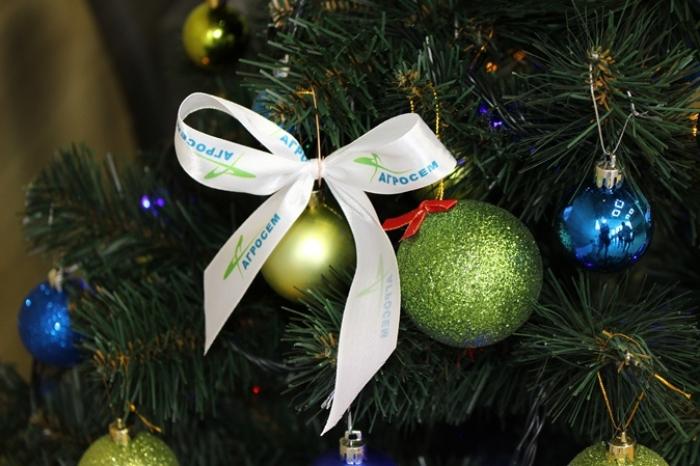 Компанія «Агросем» запросила дітей у гості до святого Миколая