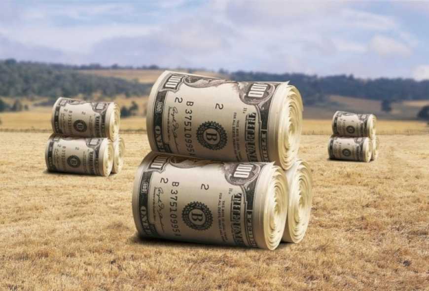 Стало відомо, де в Україні найвища вартість оренди сільгоспземель