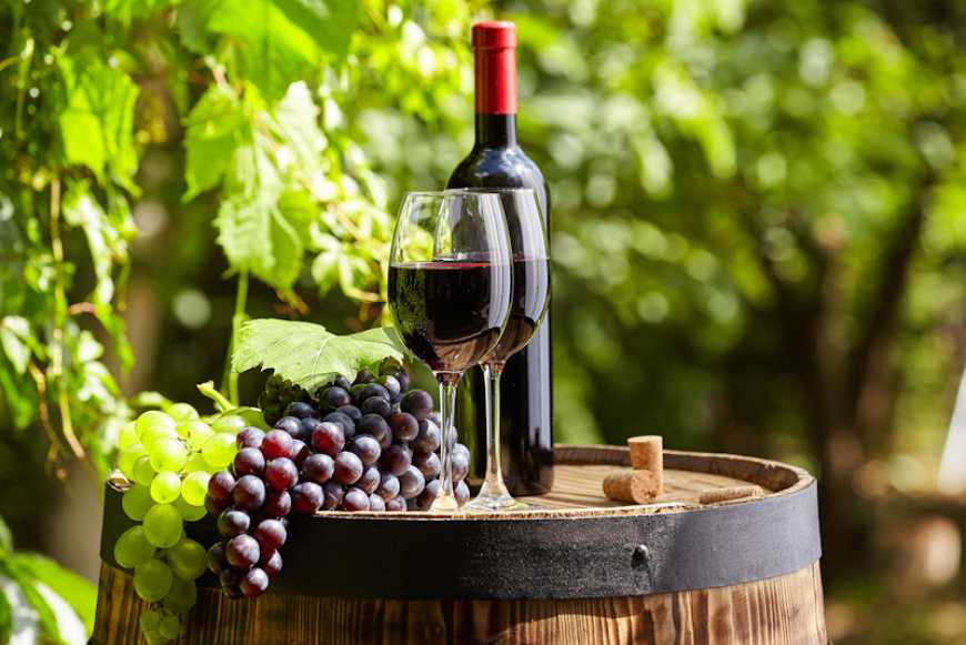 Експерти прогнозують, що світове виробництво вина буде найменшим за 63 роки
