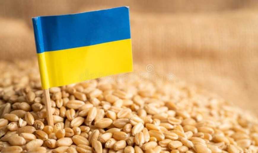 Затверджено перелік агропродукції, експорт та імпорт якої підлягає ліцензуванню та квотуванню у 2026 році