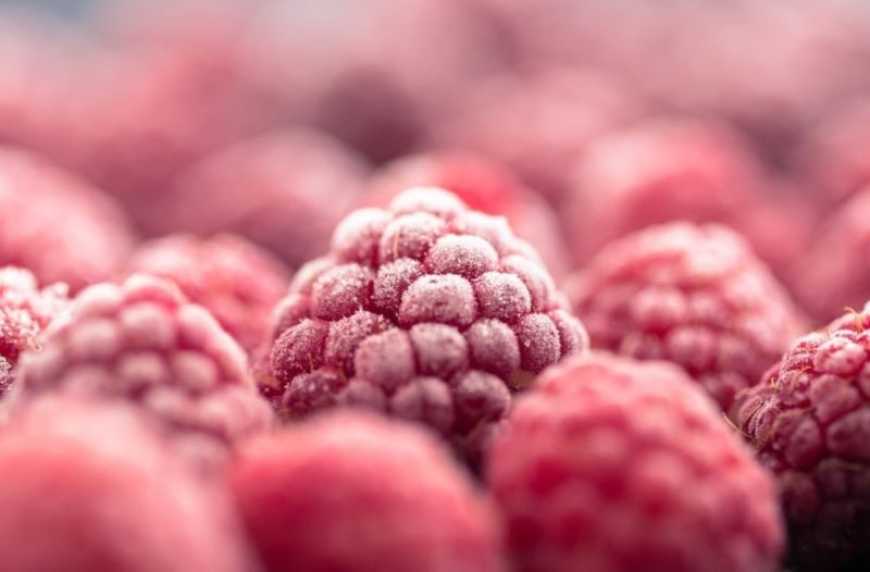 Другий рік поспіль Україна стане найбільшим експортером малини в Європі