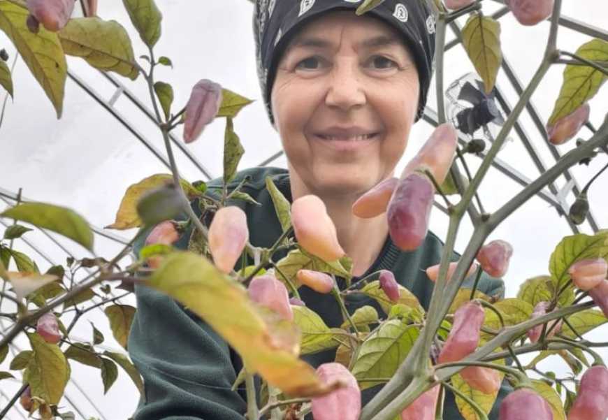 У Кривому Розі крафтярка перетворила хобі з вирощування гострих перців на перспективний бізнес