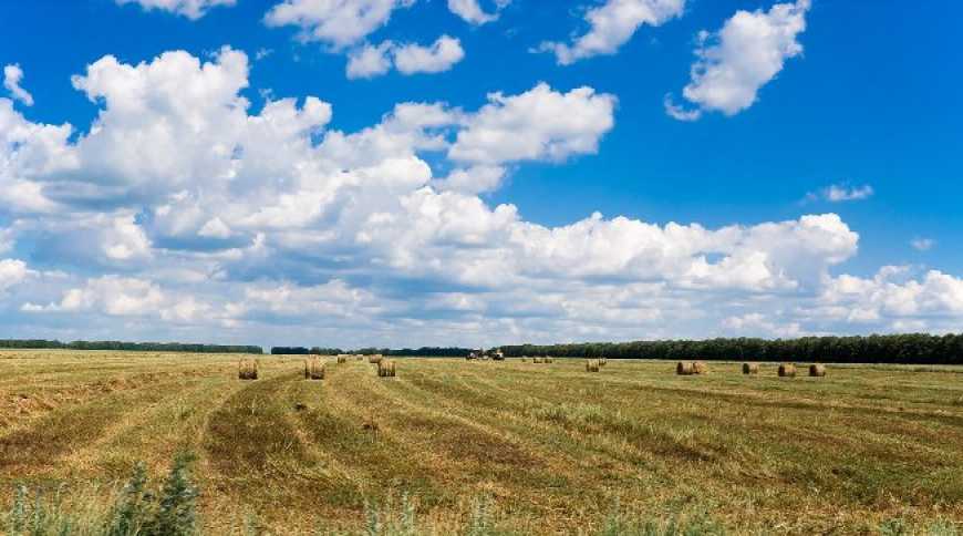Мораторій на продаж землі діятиме надалі, &ndash; Держгеокадастр
