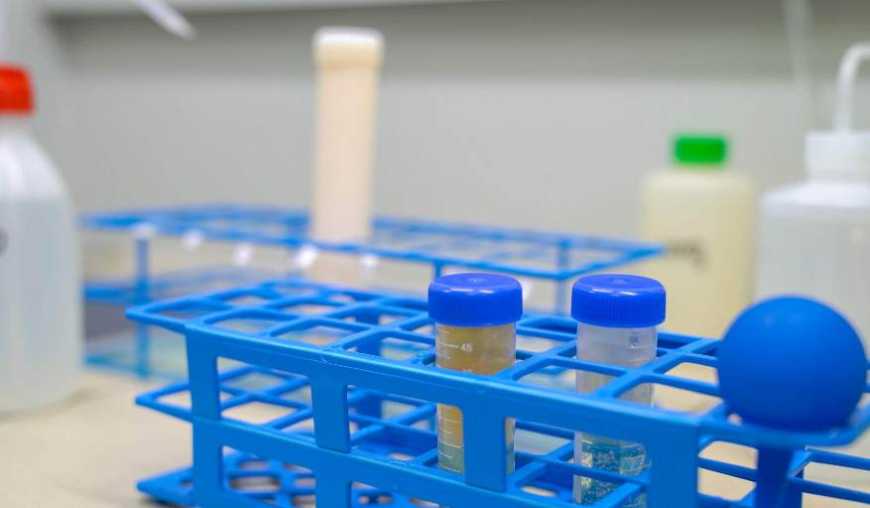 Як впевнитися в якості добрив