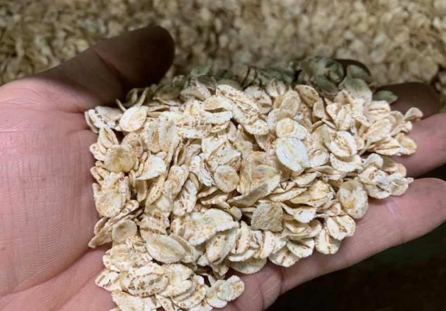 На Тернопільщині відкрили завод для виробництва пластівців