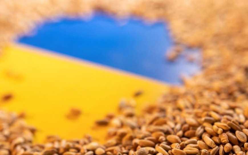 З окупованої Донеччини росіяни почали вивозити новий врожай українських зернових